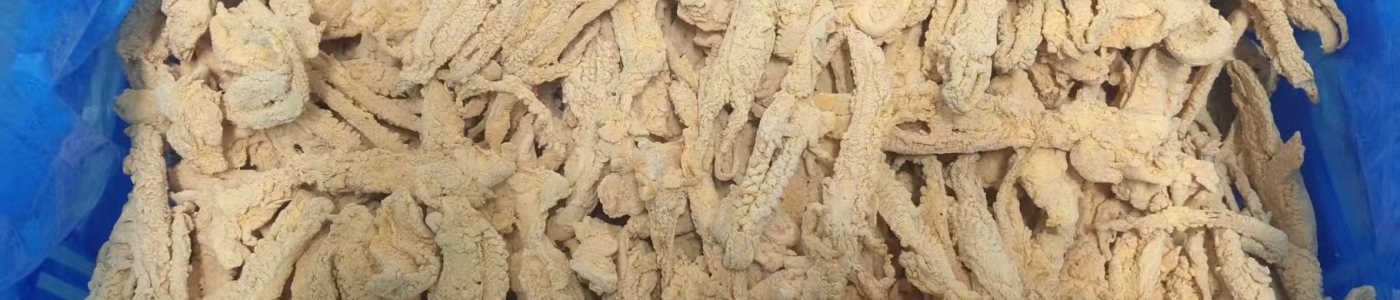 加工食品